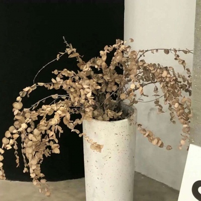 兽设雨夜场景创作FurryQQ群